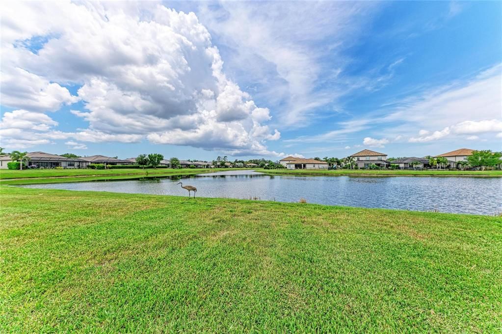 For Sale: $675,000 (3 beds, 3 baths, 2455 Square Feet)