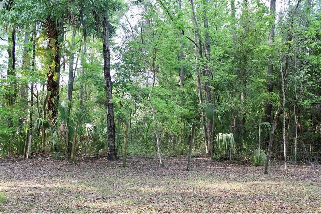 En Venta: $995,000 (5 camas, 4 baños, 4088 Pies cuadrados)