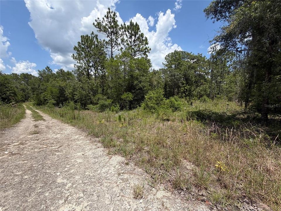 For Sale: $15,000 (0.23 acres)