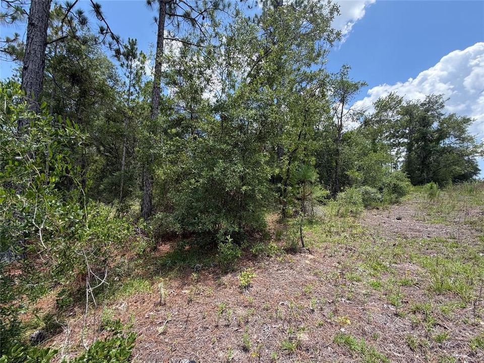 For Sale: $15,000 (0.23 acres)