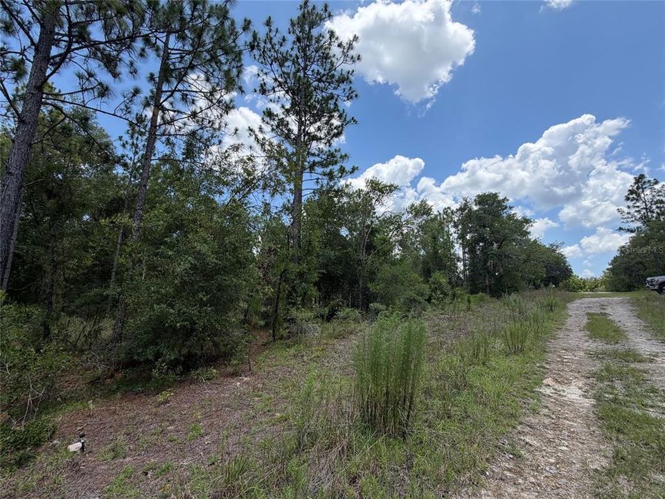 For Sale: $15,000 (0.23 acres)