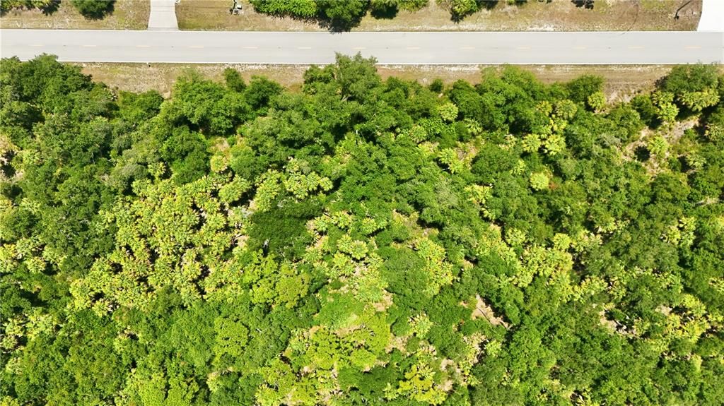 На продажу: $70,000 (1.15 acres)
