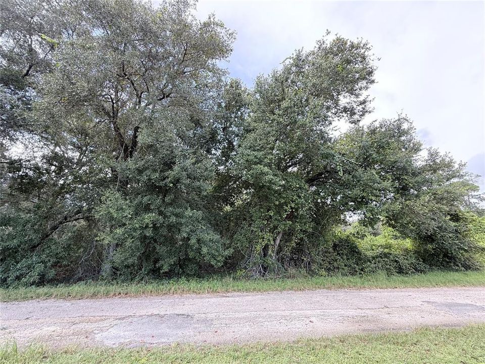 For Sale: $10,900 (0.25 acres)