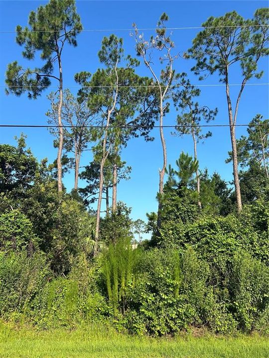 For Sale: $70,000 (0.23 acres)