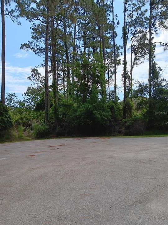 待售: $71,000 (0.26 acres)