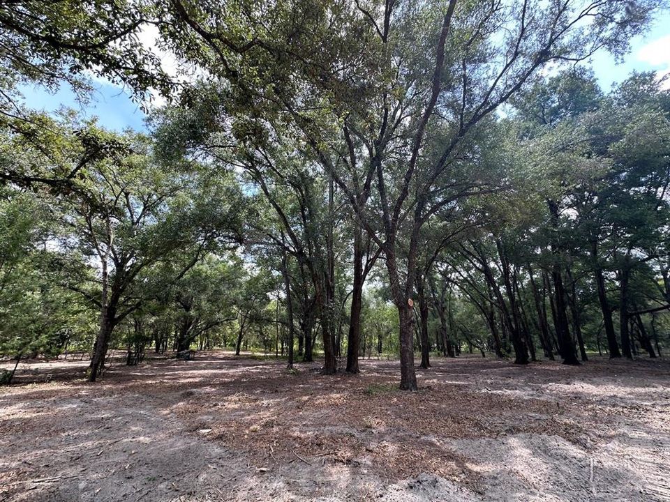 На продажу: $589,900 (14.57 acres)