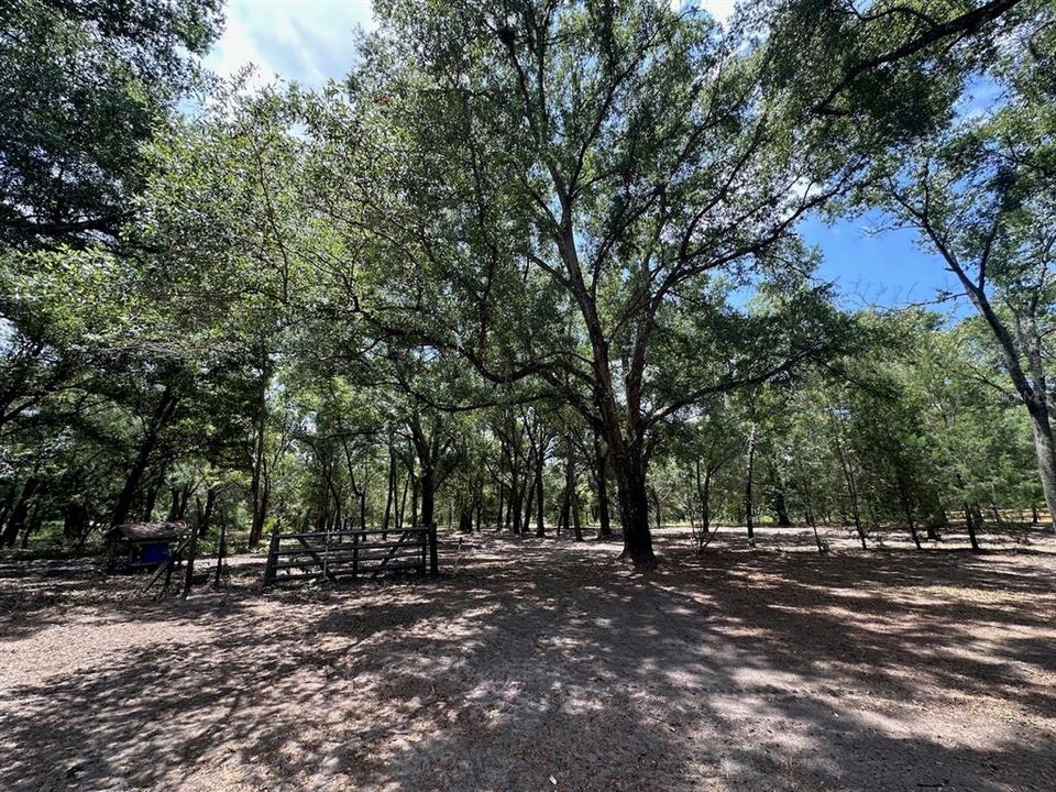 На продажу: $589,900 (14.57 acres)