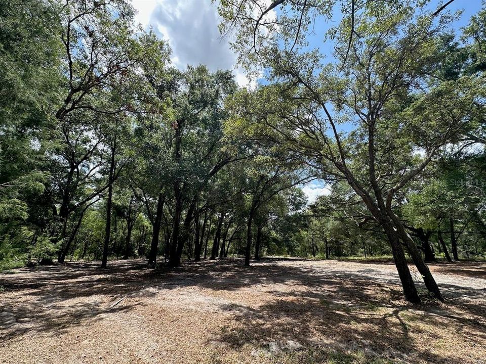 На продажу: $589,900 (14.57 acres)