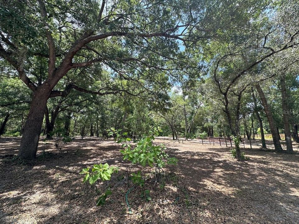 На продажу: $589,900 (14.57 acres)