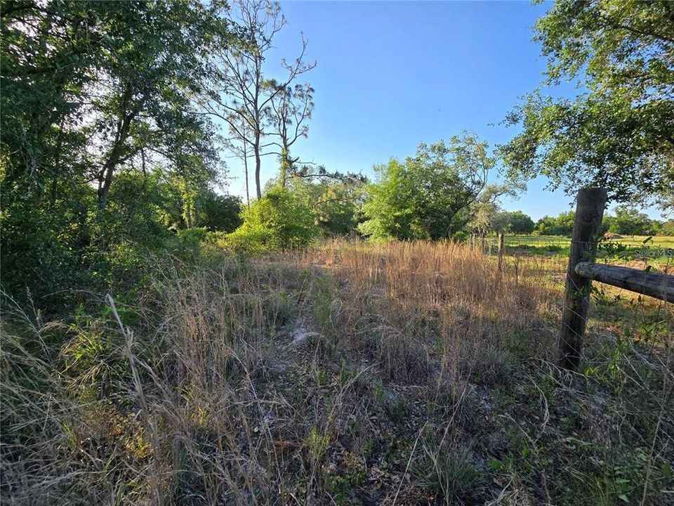For Sale: $23,500 (0.23 acres)