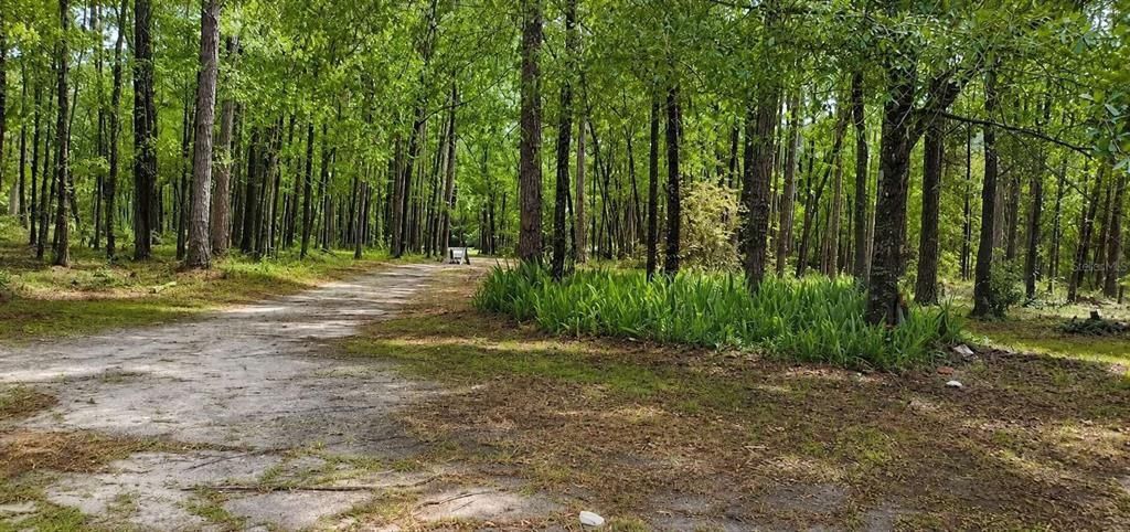 На продажу: $224,999 (3.00 acres)