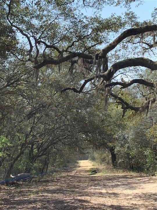 For Sale: $40,000 (1.84 acres)
