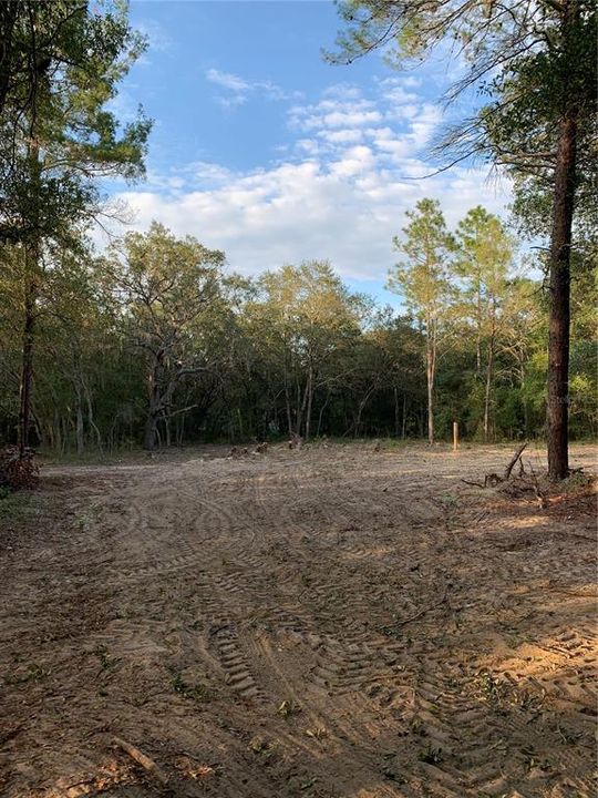 For Sale: $40,000 (1.84 acres)