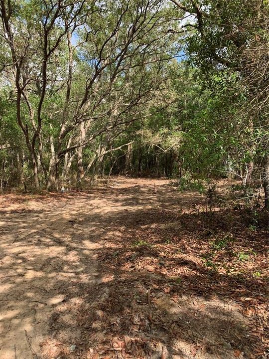 For Sale: $40,000 (1.84 acres)