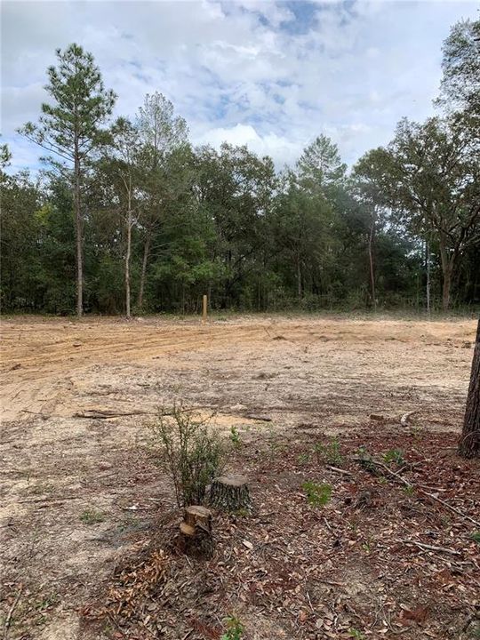 For Sale: $40,000 (1.84 acres)