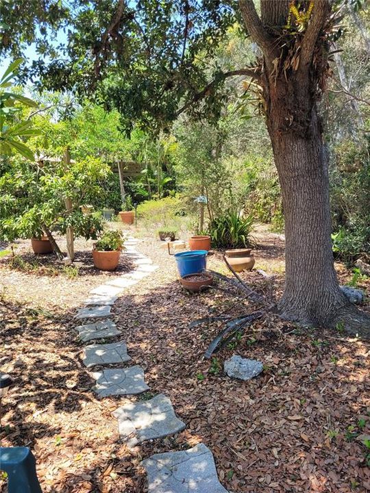 Activo con contrato: $419,900 (2 camas, 2 baños, 1070 Pies cuadrados)