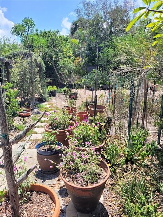 Activo con contrato: $419,900 (2 camas, 2 baños, 1070 Pies cuadrados)