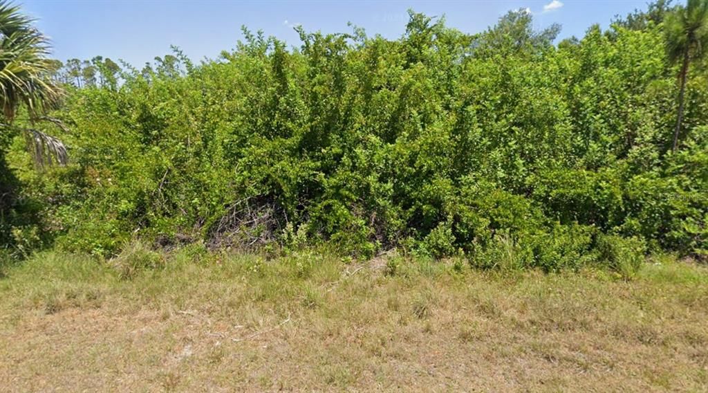 For Sale: $28,000 (0.23 acres)