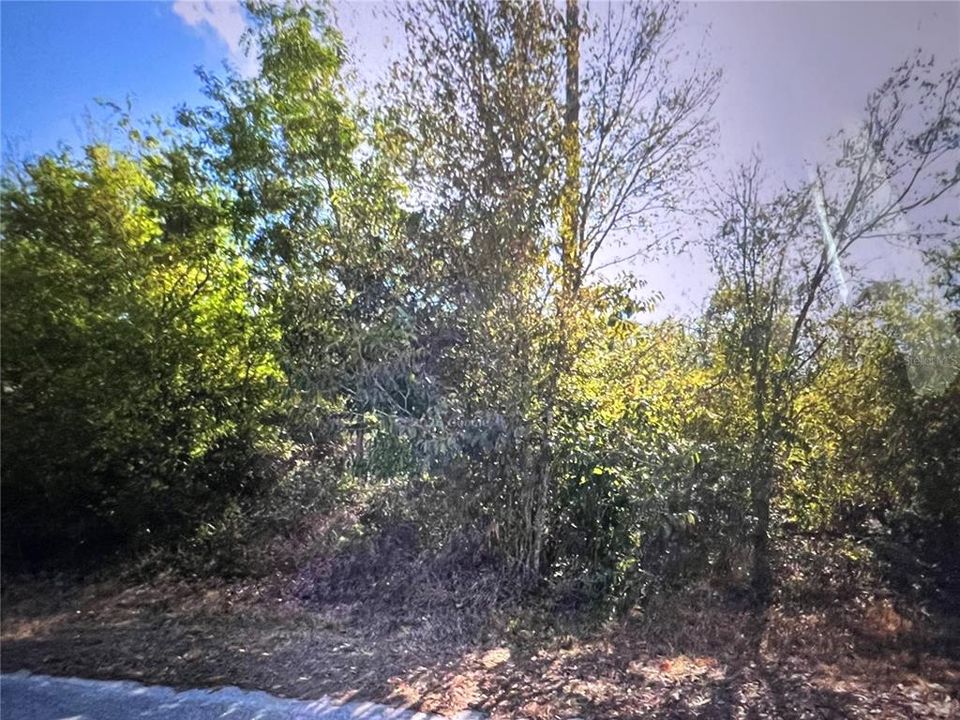 待售: $16,800 (0.18 acres)