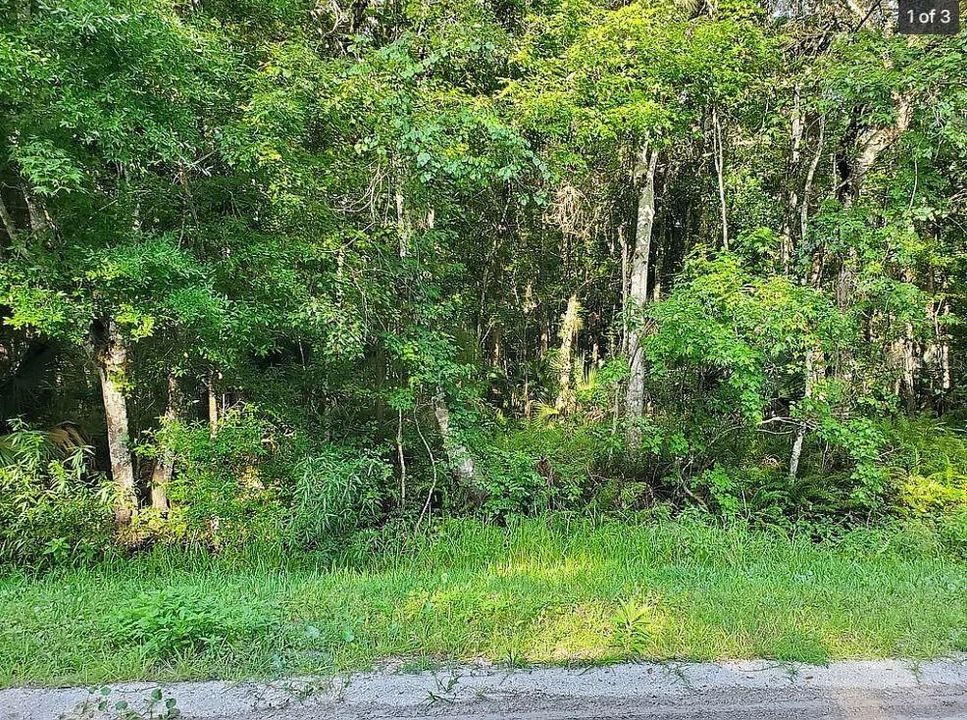 En Venta: $20,490 (1.29 acres)