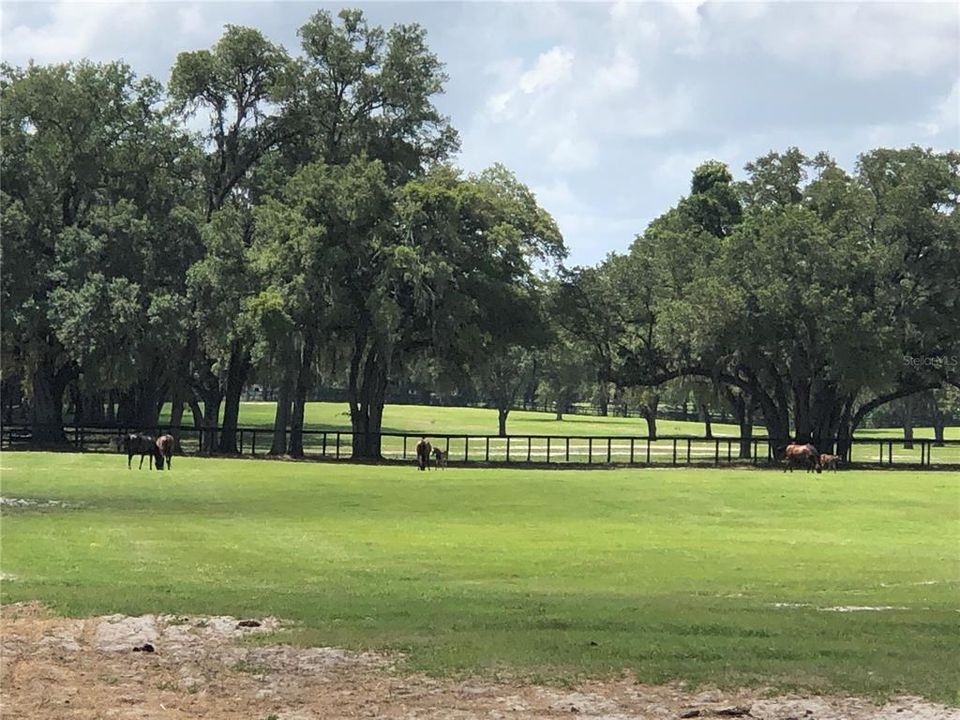 待售: $900,000 (36.25 acres)