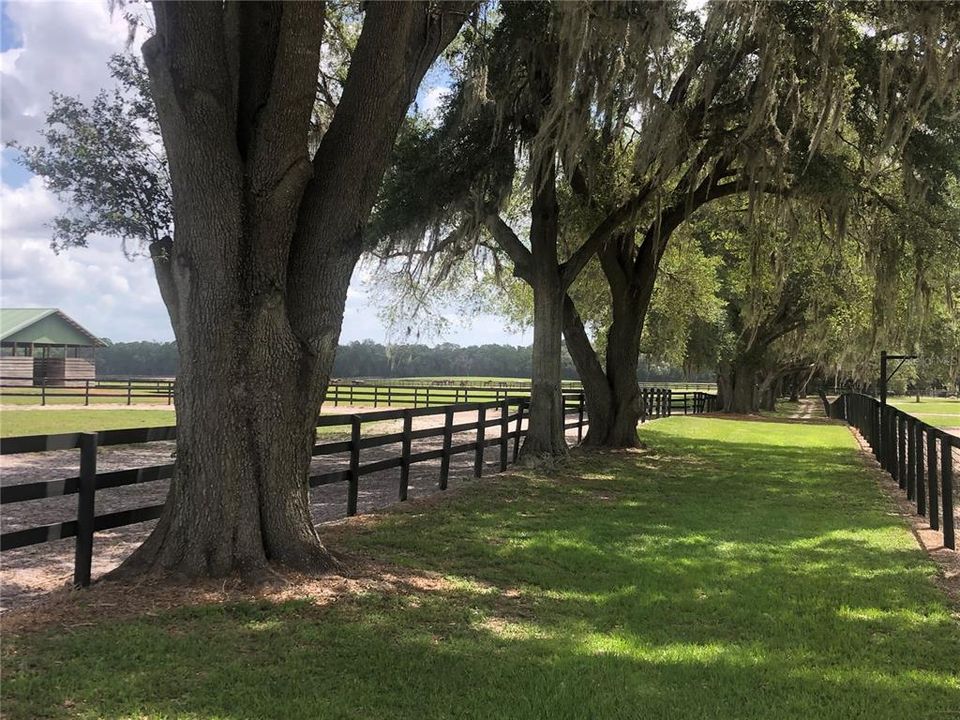 待售: $900,000 (36.25 acres)