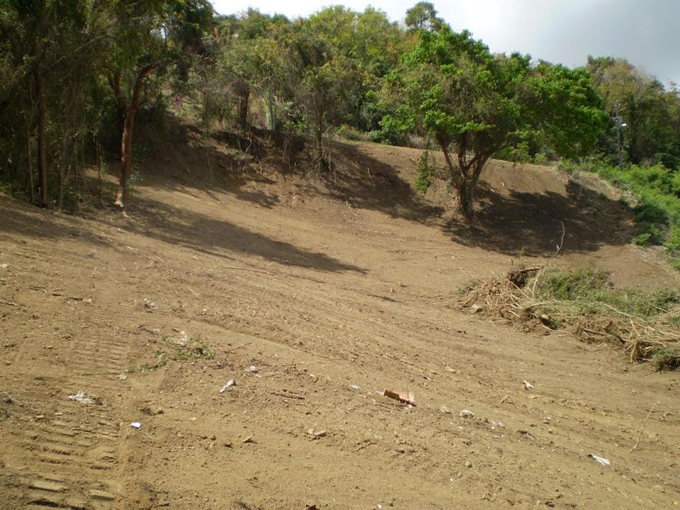 На продажу: $400,000 (0.49 acres)