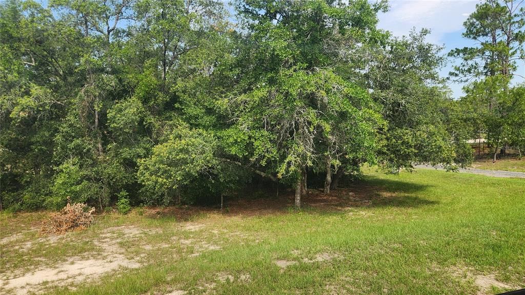 待售: $200,000 (3 贝兹, 2 浴室, 1242 平方英尺)