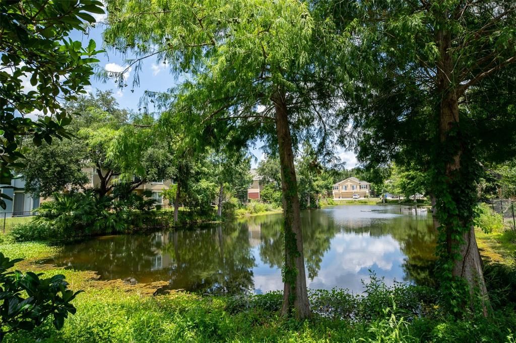 En Venta: $259,900 (3 camas, 2 baños, 1624 Pies cuadrados)