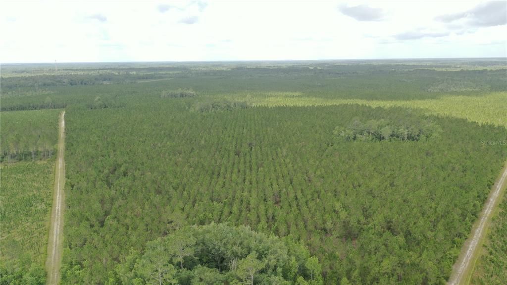 待售: $4,999,999 (1,640.25 acres)
