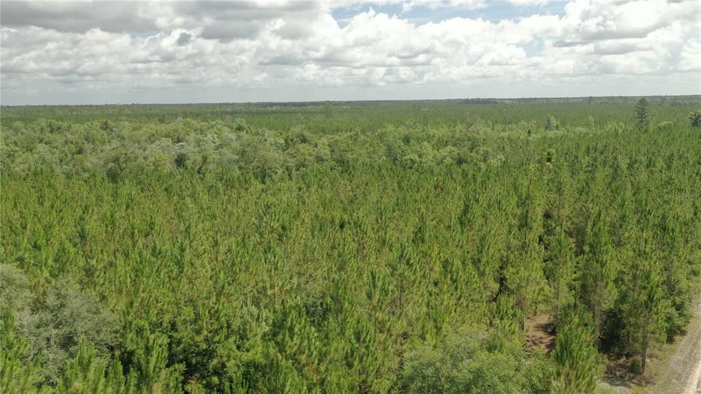待售: $4,999,999 (1,640.25 acres)