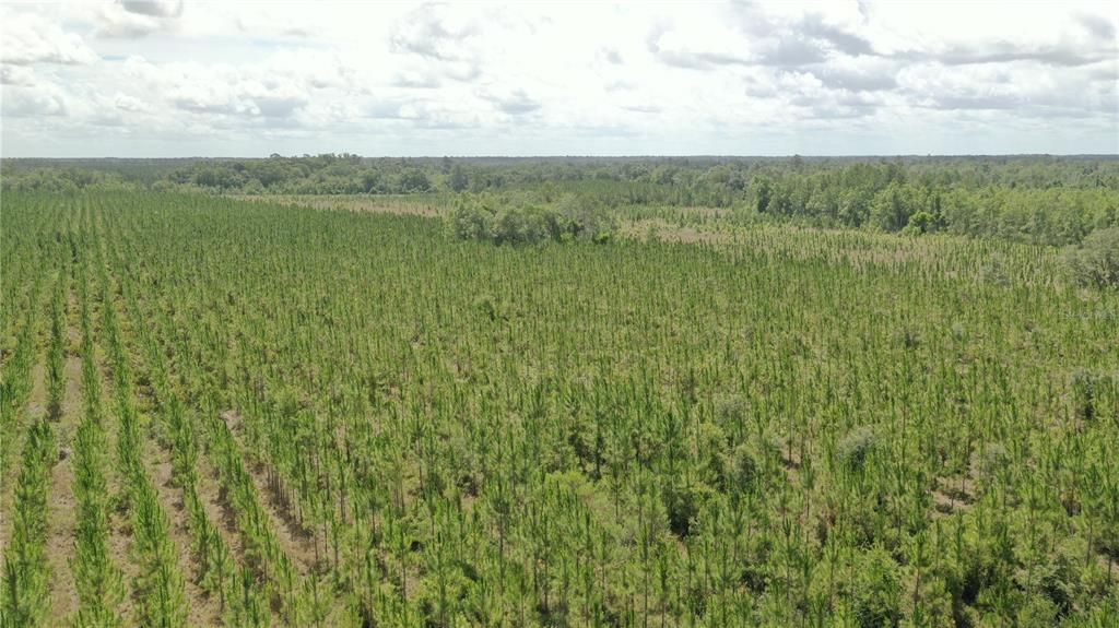 待售: $4,999,999 (1,640.25 acres)
