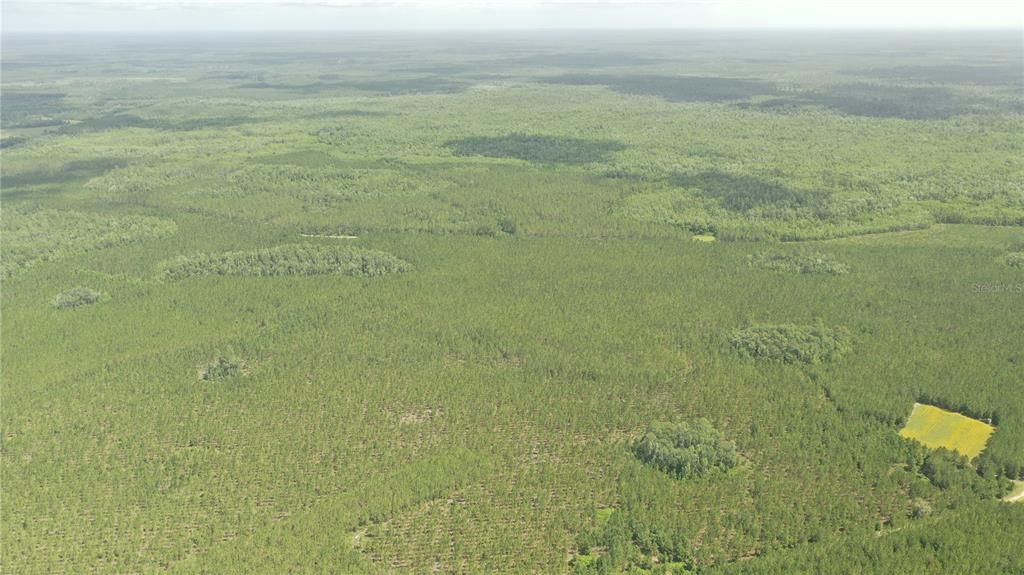 待售: $4,999,999 (1,640.25 acres)