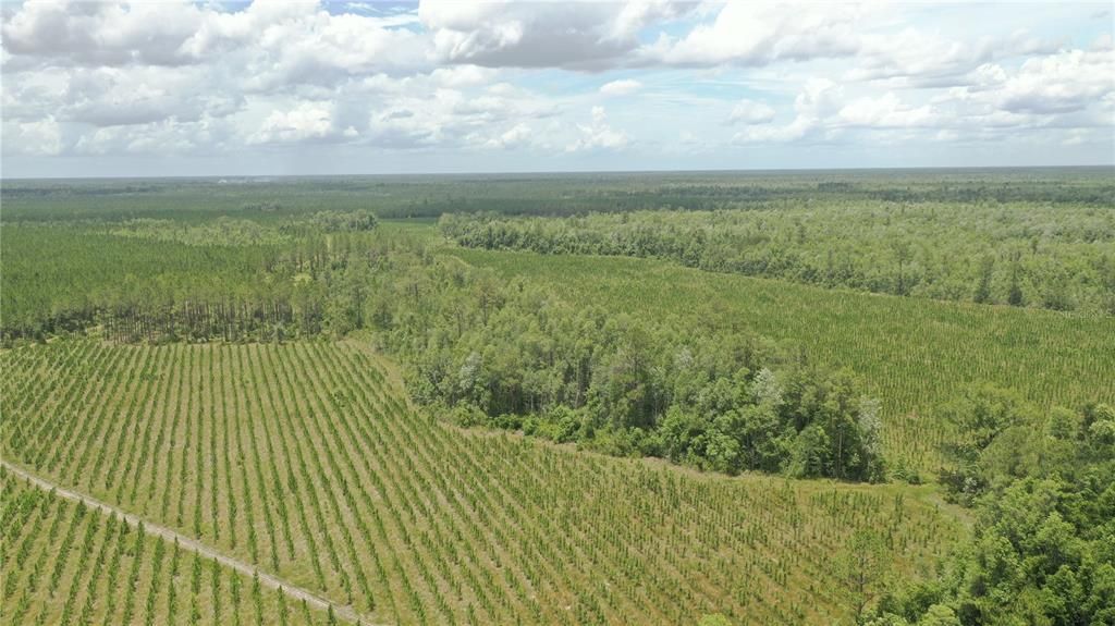 待售: $4,999,999 (1,640.25 acres)