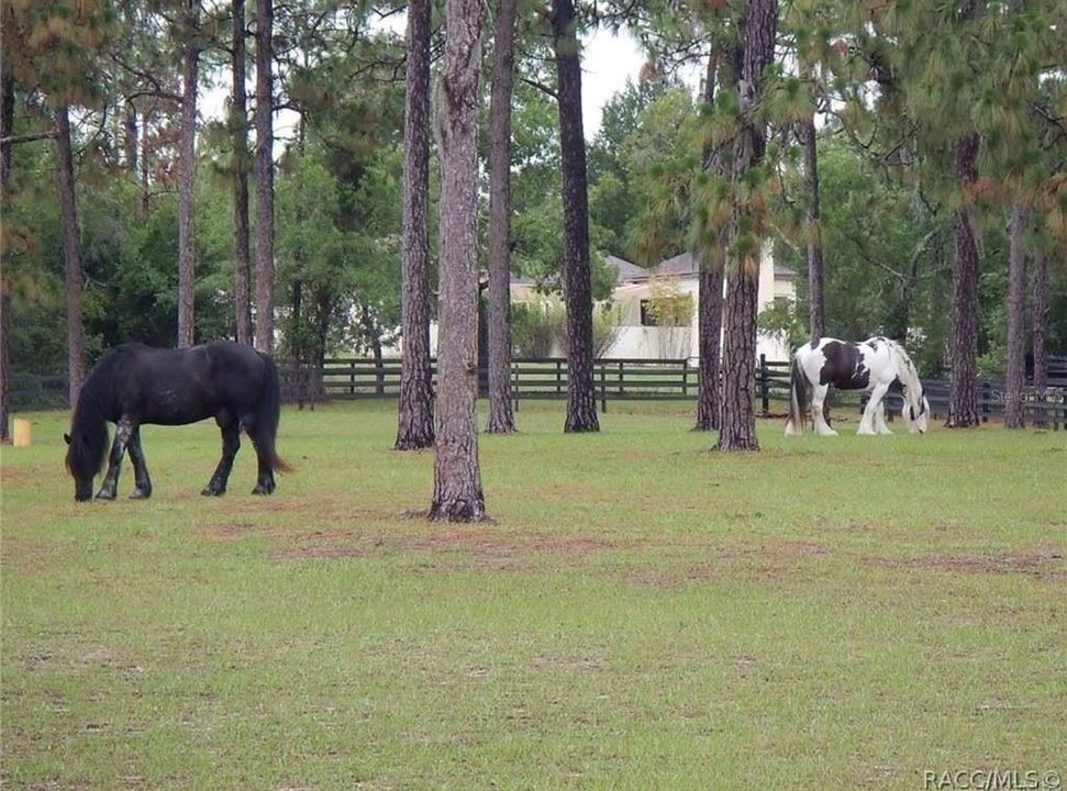待售: $209,900 (5.70 acres)