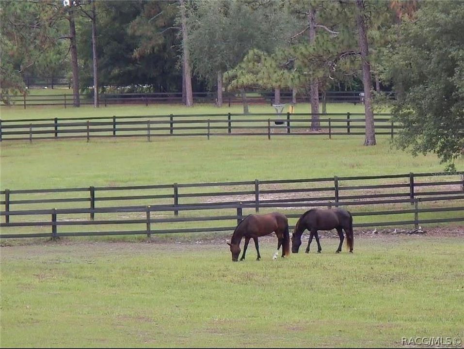 待售: $209,900 (5.70 acres)