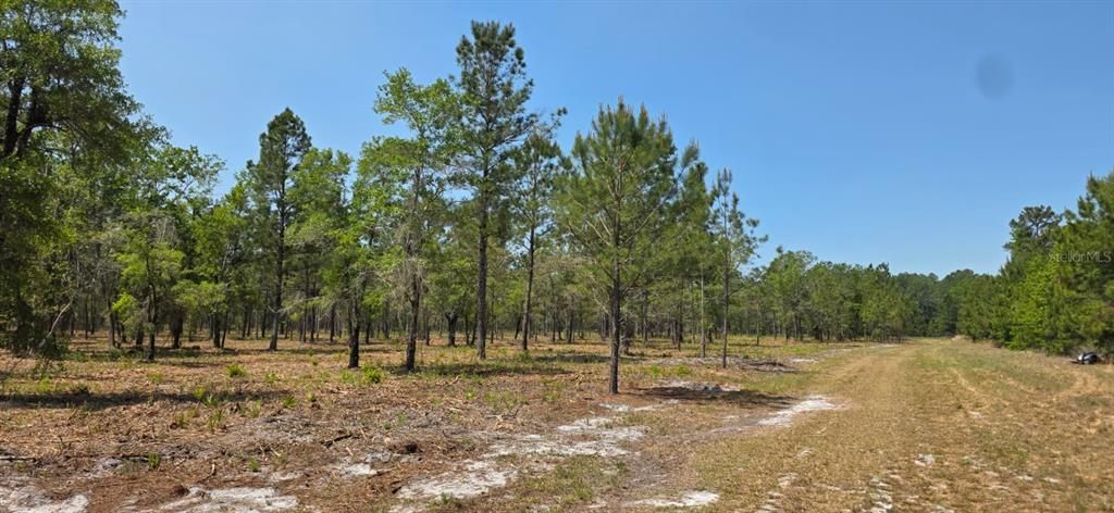 En Venta: $1,200,000 (80.00 acres)