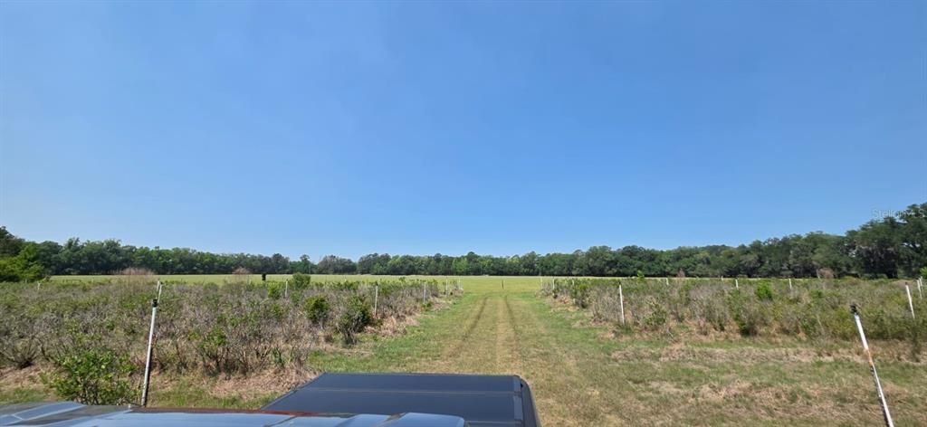 En Venta: $1,200,000 (80.00 acres)