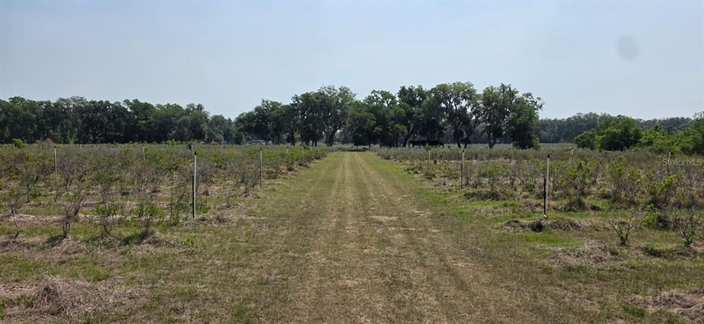 En Venta: $1,200,000 (80.00 acres)