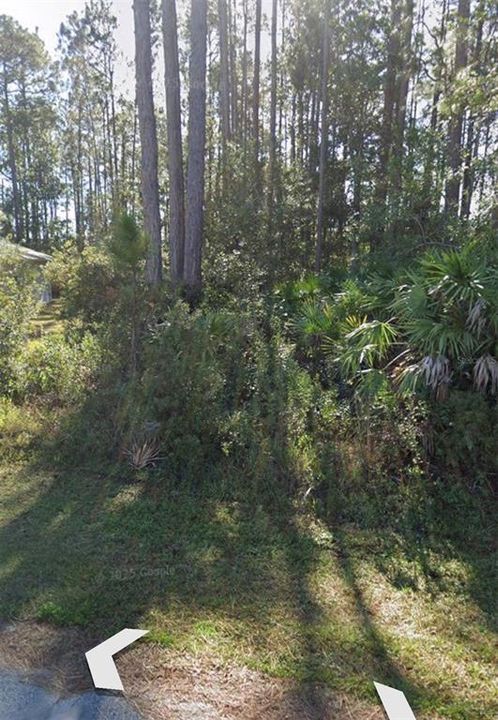 For Sale: $75,000 (0.25 acres)
