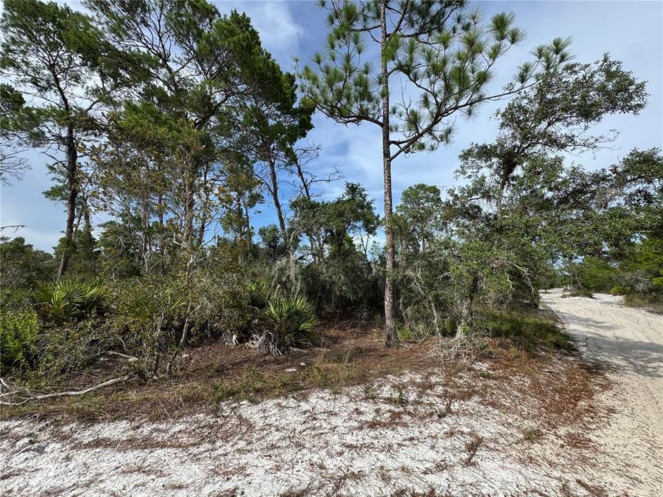 待售: $45,000 (0.22 acres)