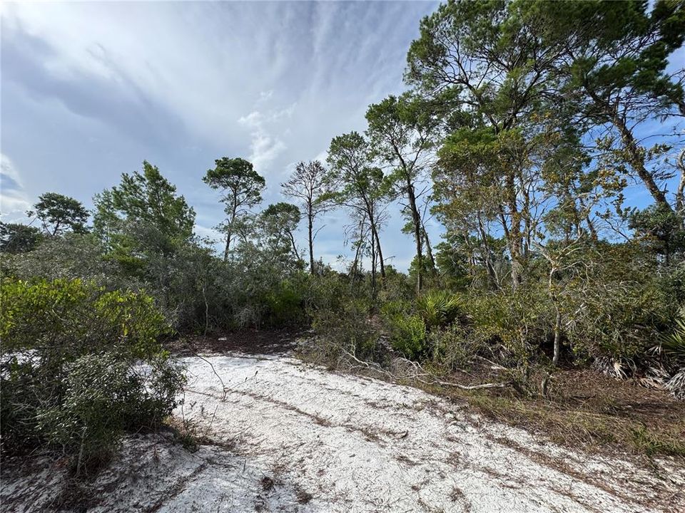 待售: $45,000 (0.22 acres)
