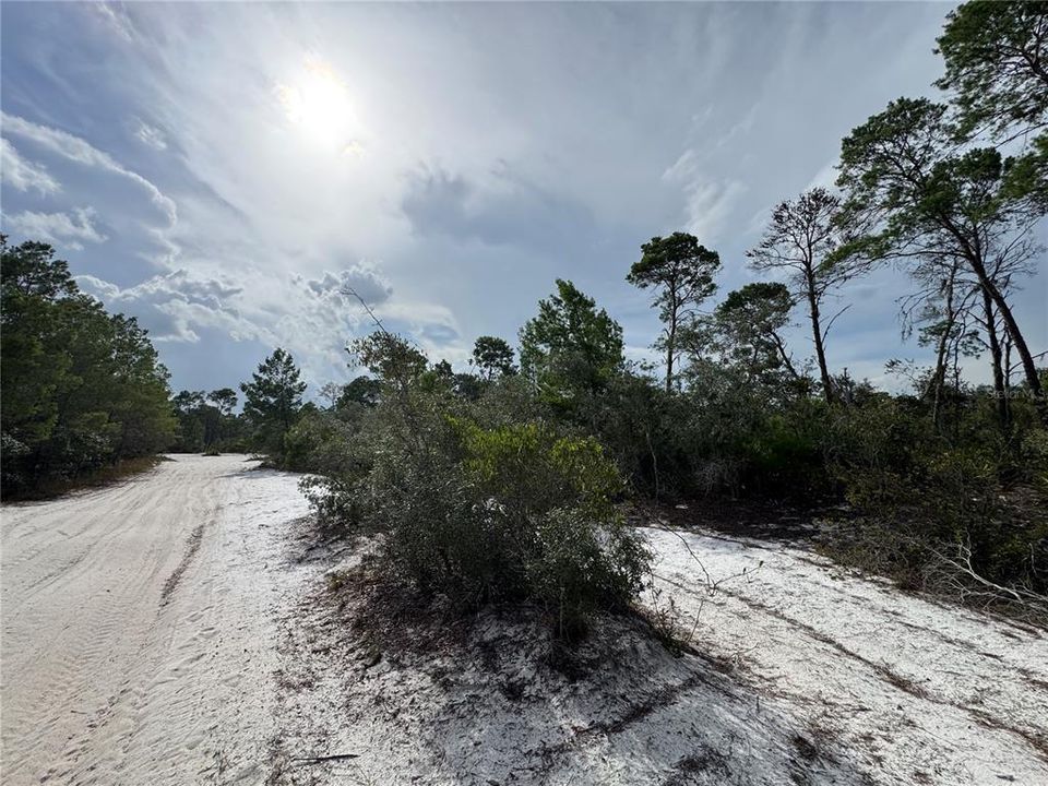 待售: $45,000 (0.22 acres)