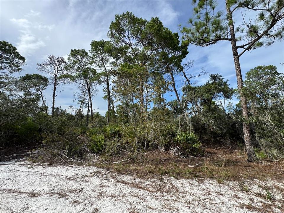 待售: $45,000 (0.22 acres)