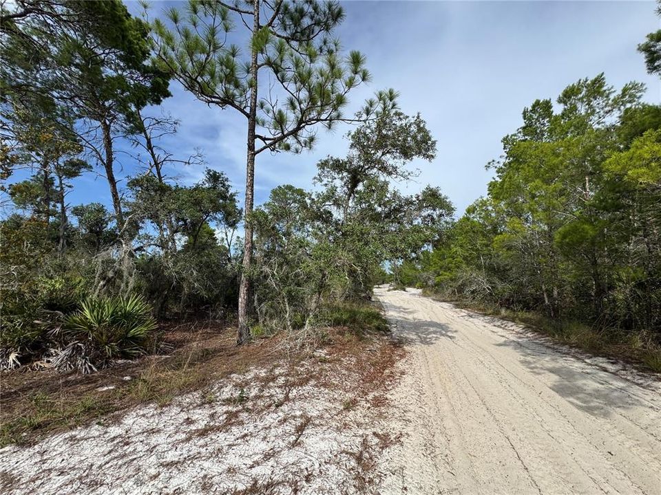 待售: $45,000 (0.22 acres)