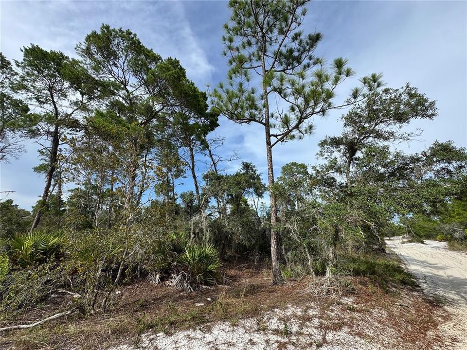 待售: $45,000 (0.22 acres)