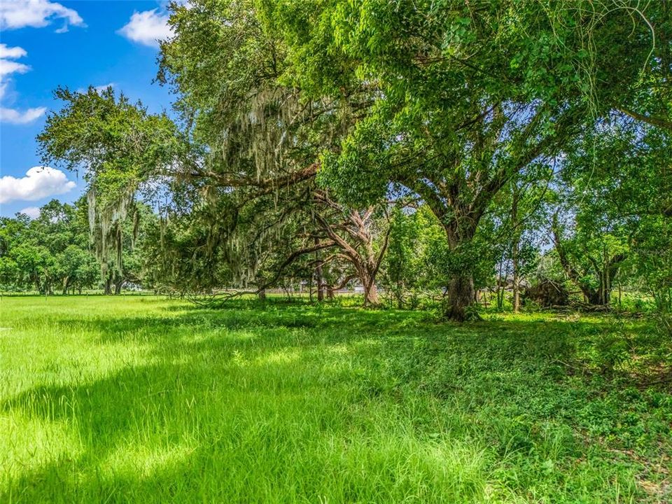 En Venta: $350,000 (10.00 acres)