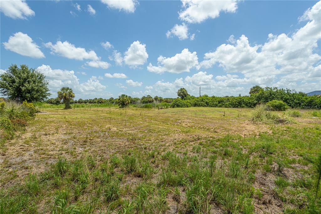 For Sale: $120,000 (1.25 acres)