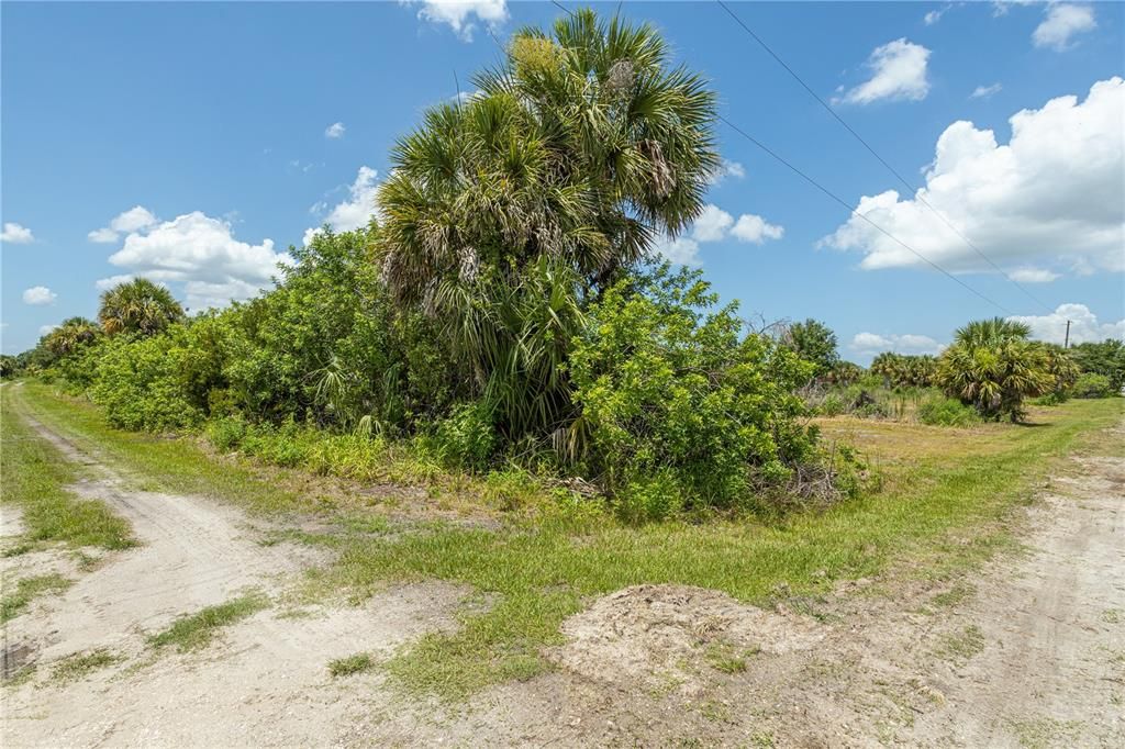 For Sale: $120,000 (1.25 acres)