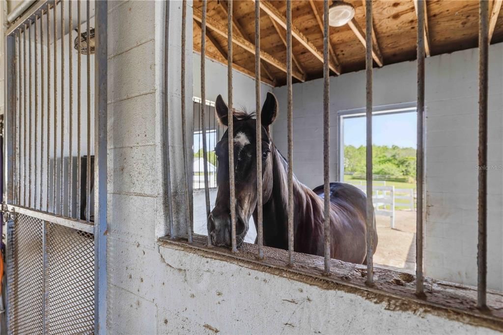 En Venta: $2,000,000 (4 camas, 3 baños, 4062 Pies cuadrados)